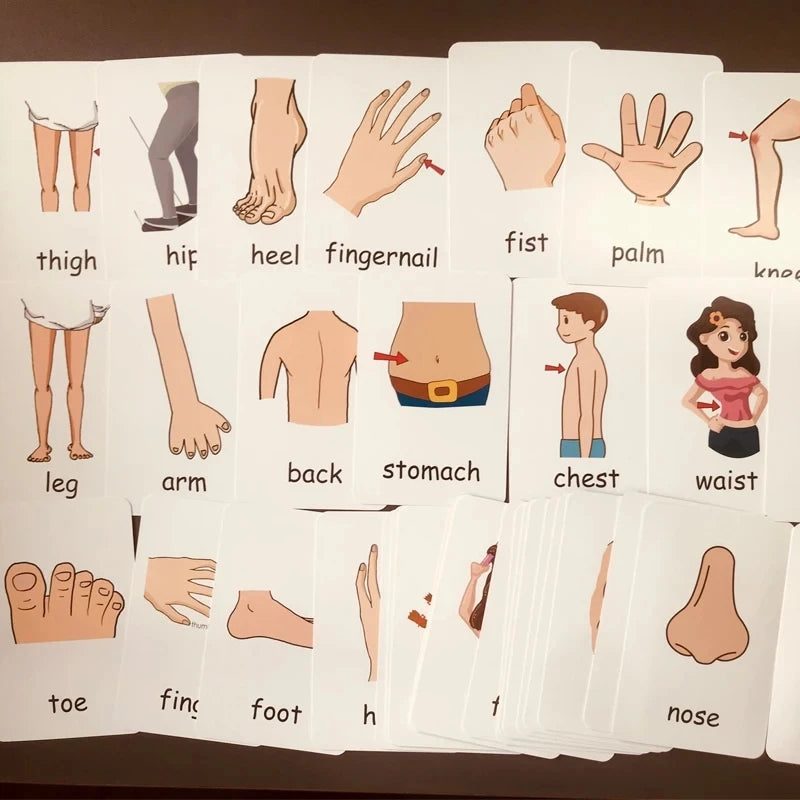 Montessori English Words Flashcards for Kids