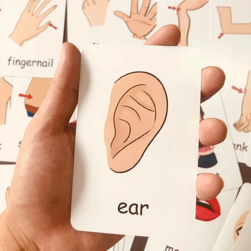 Montessori English Words Flashcards for Kids