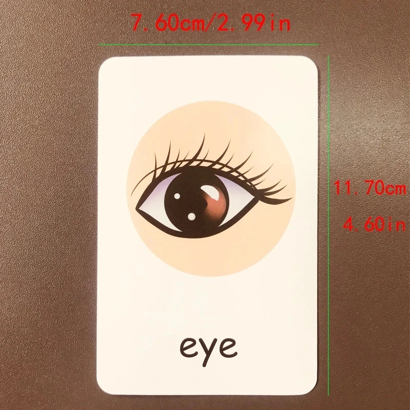 Montessori English Words Flashcards for Kids