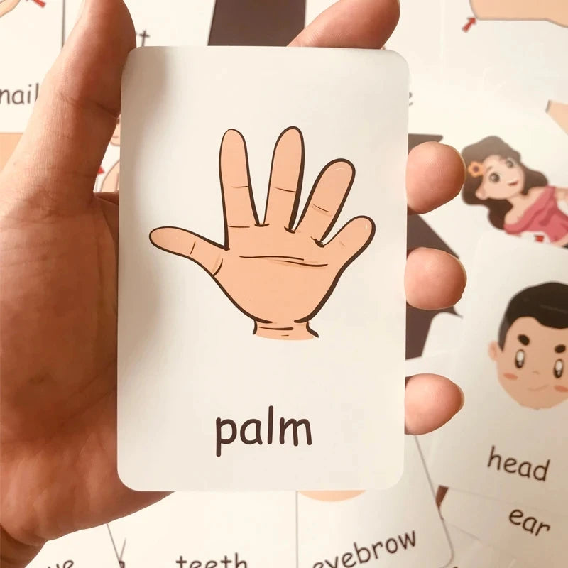 Montessori English Words Flashcards for Kids