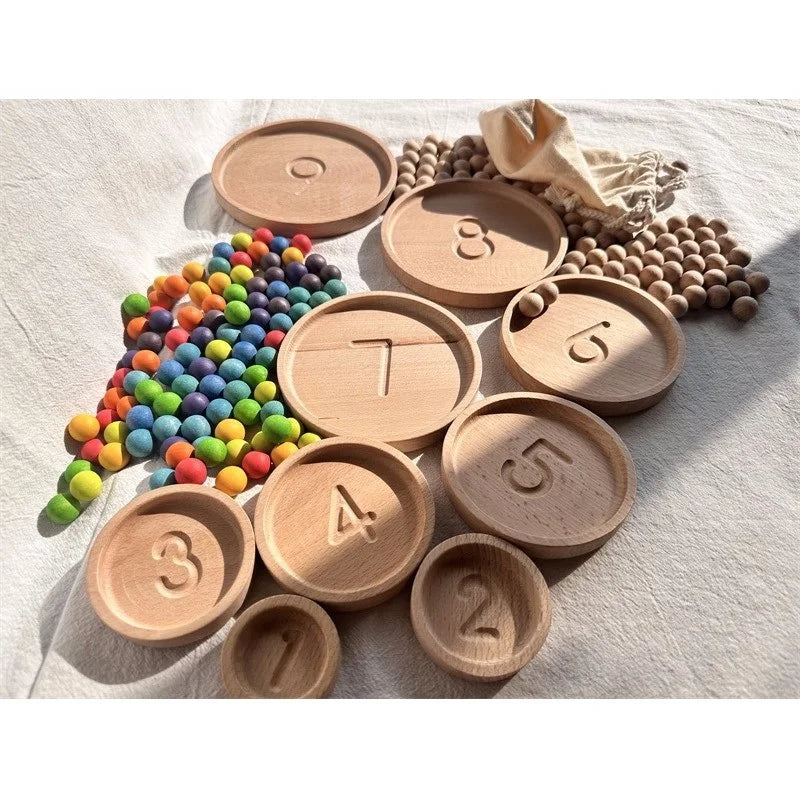 Montessori Wooden Tray with Felt Balls