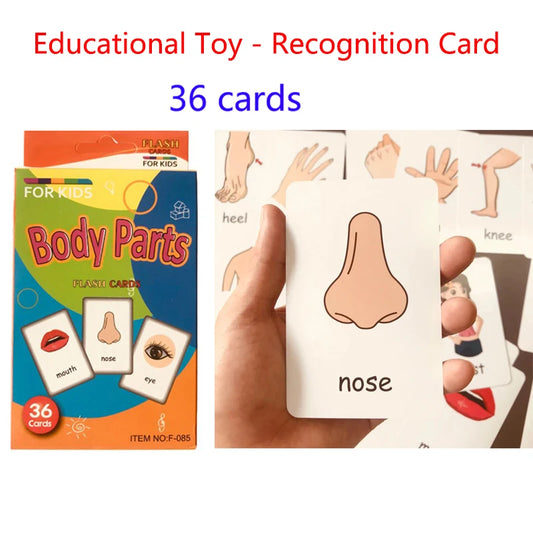 Montessori English Words Flashcards for Kids