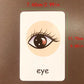 Montessori English Words Flashcards for Kids