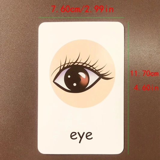 Montessori English Words Flashcards for Kids