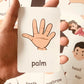 Montessori English Words Flashcards for Kids